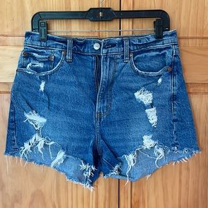 Abercrombie & Fitch Curve Love High Rise The Mom Short size 29/8